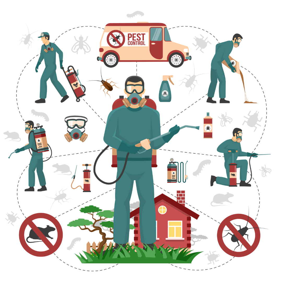 Best General Pest Control Service in Guwahati