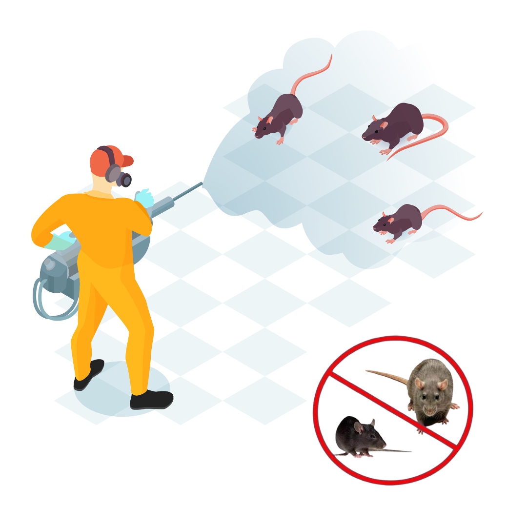 Best Rodent Control Service in Guwahati