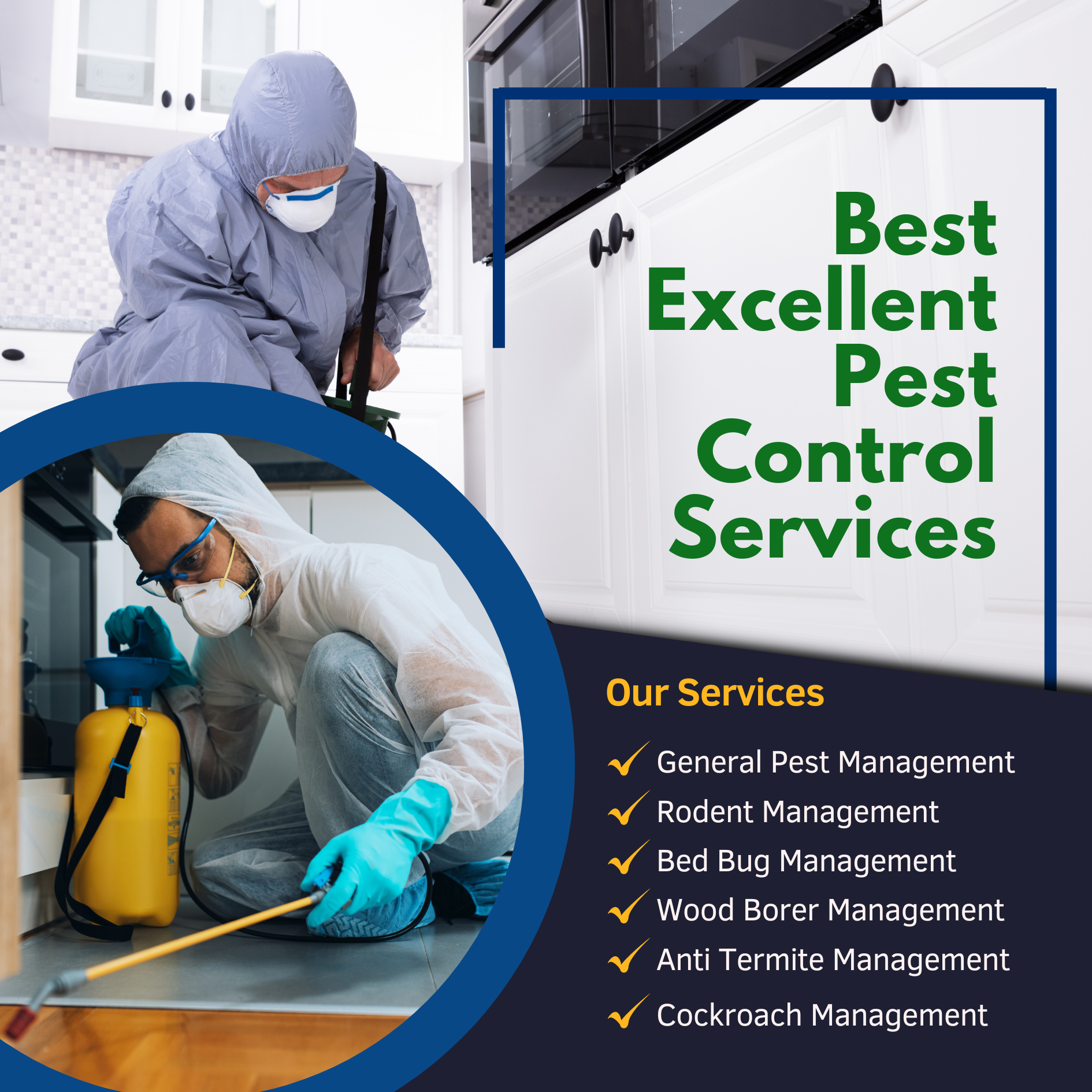 Best Pest Control Service in Guwahati