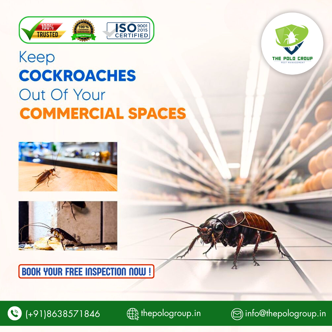 Best Pest control in Nagaon