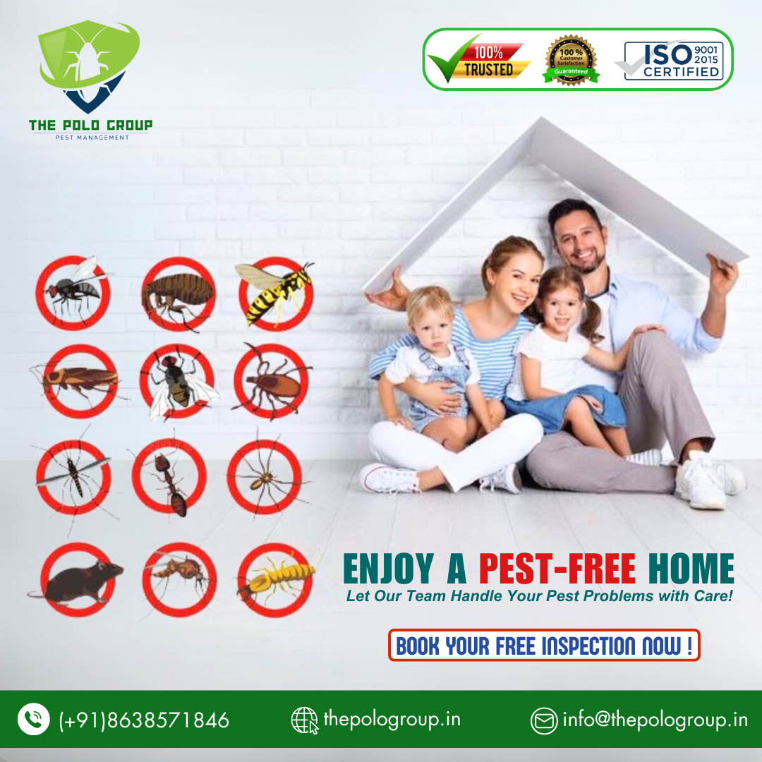 Best Pest control in Shillong
