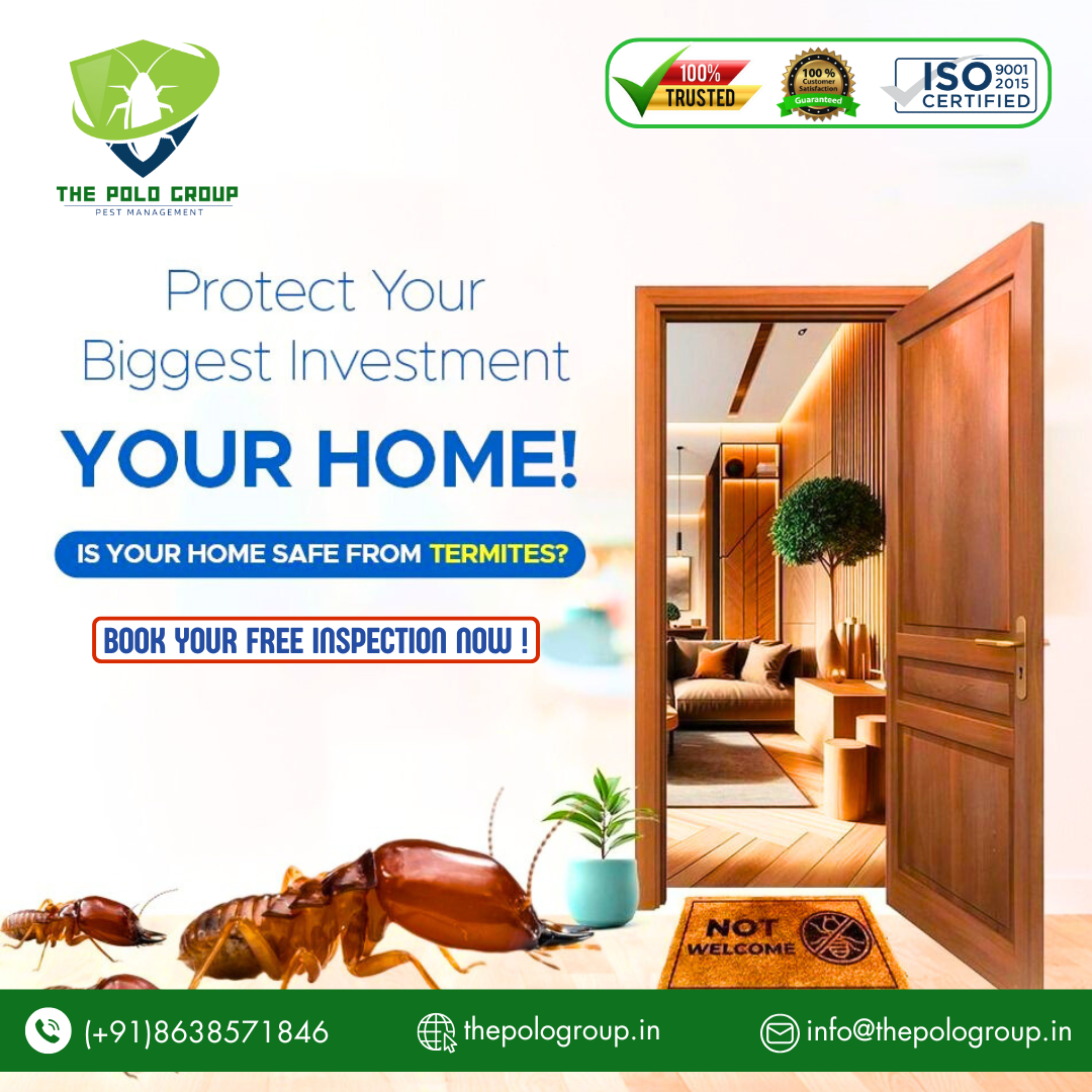 Best Pest control in Tezpur