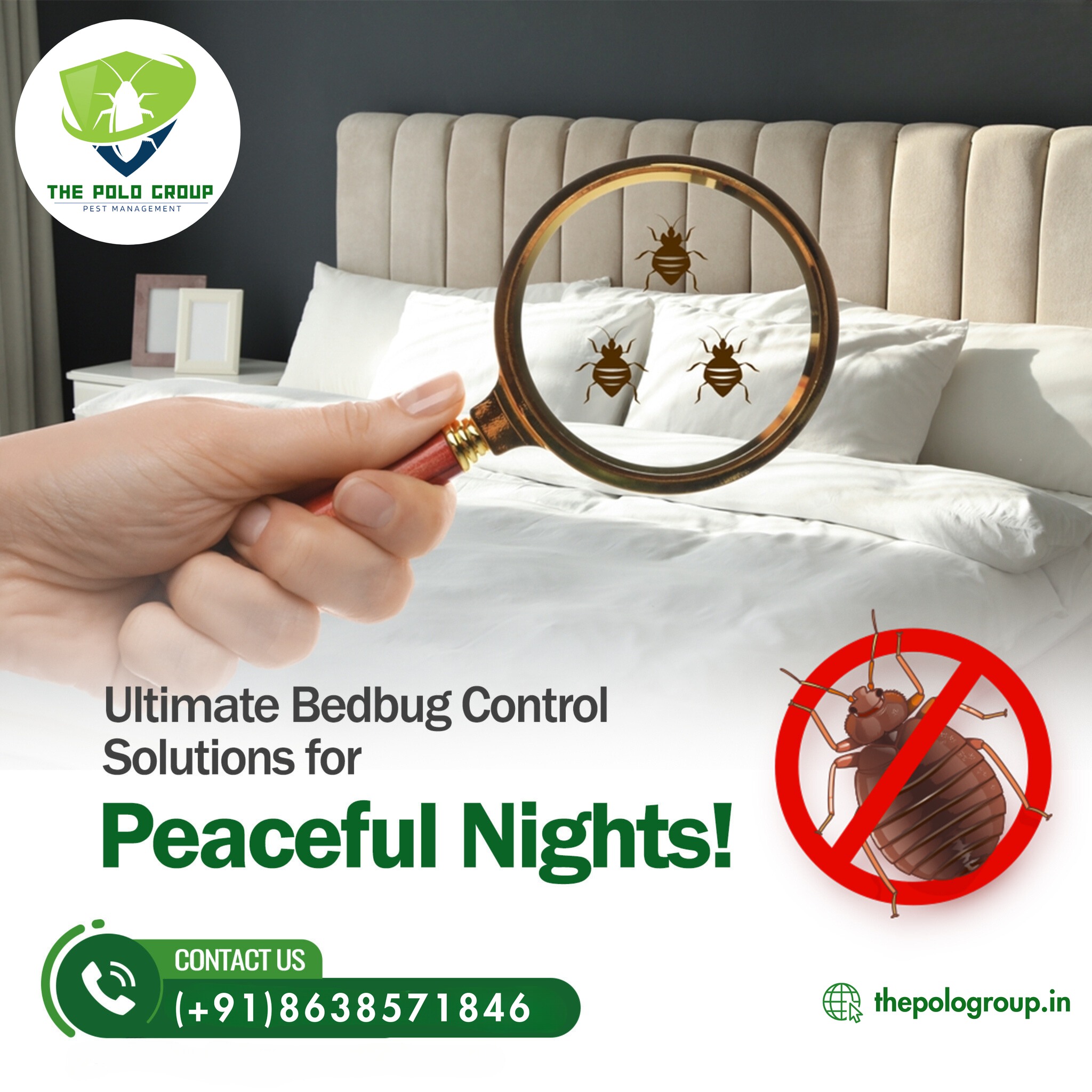 Best Pest Control in Goalpara Assam