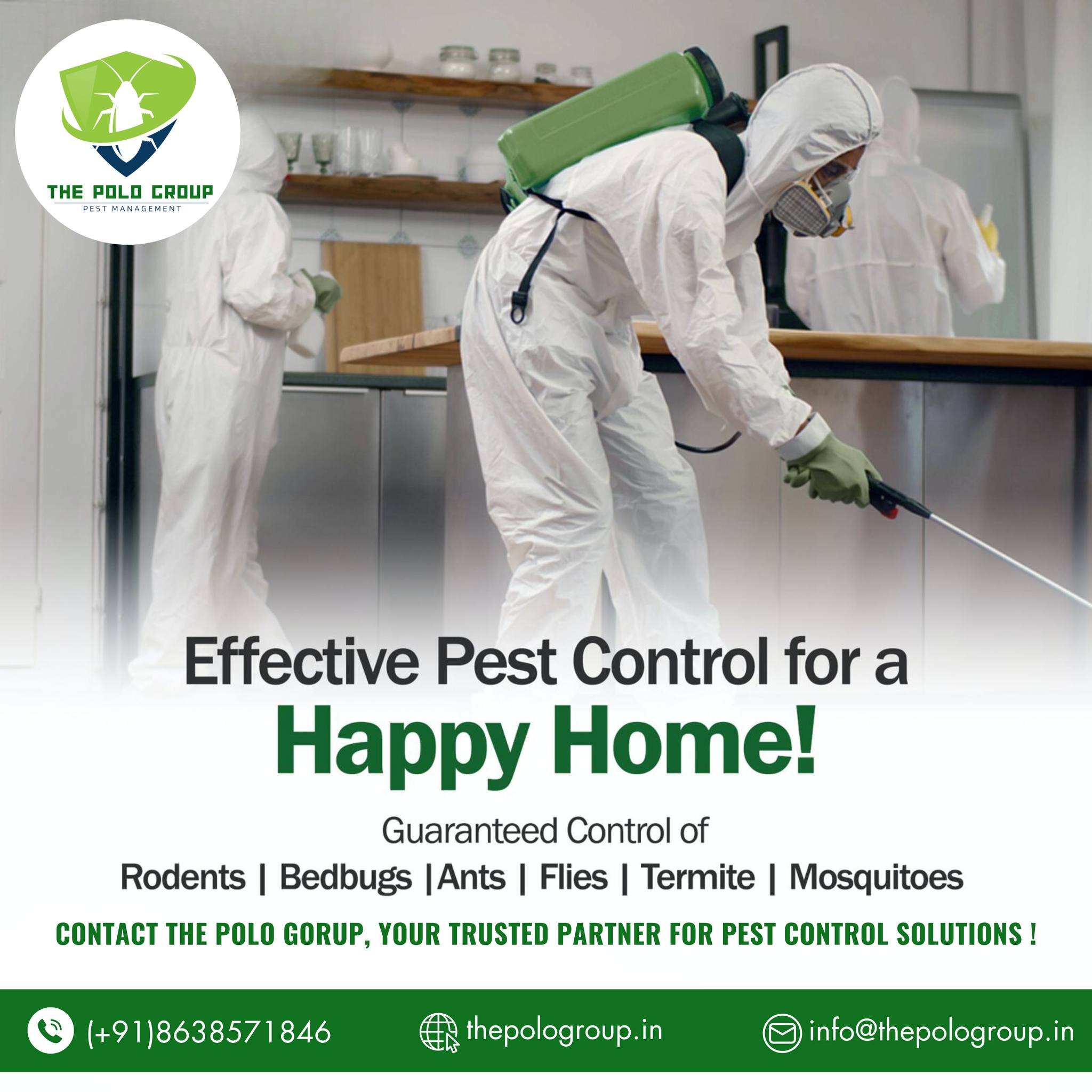 Best Pest control in Haflong Assam