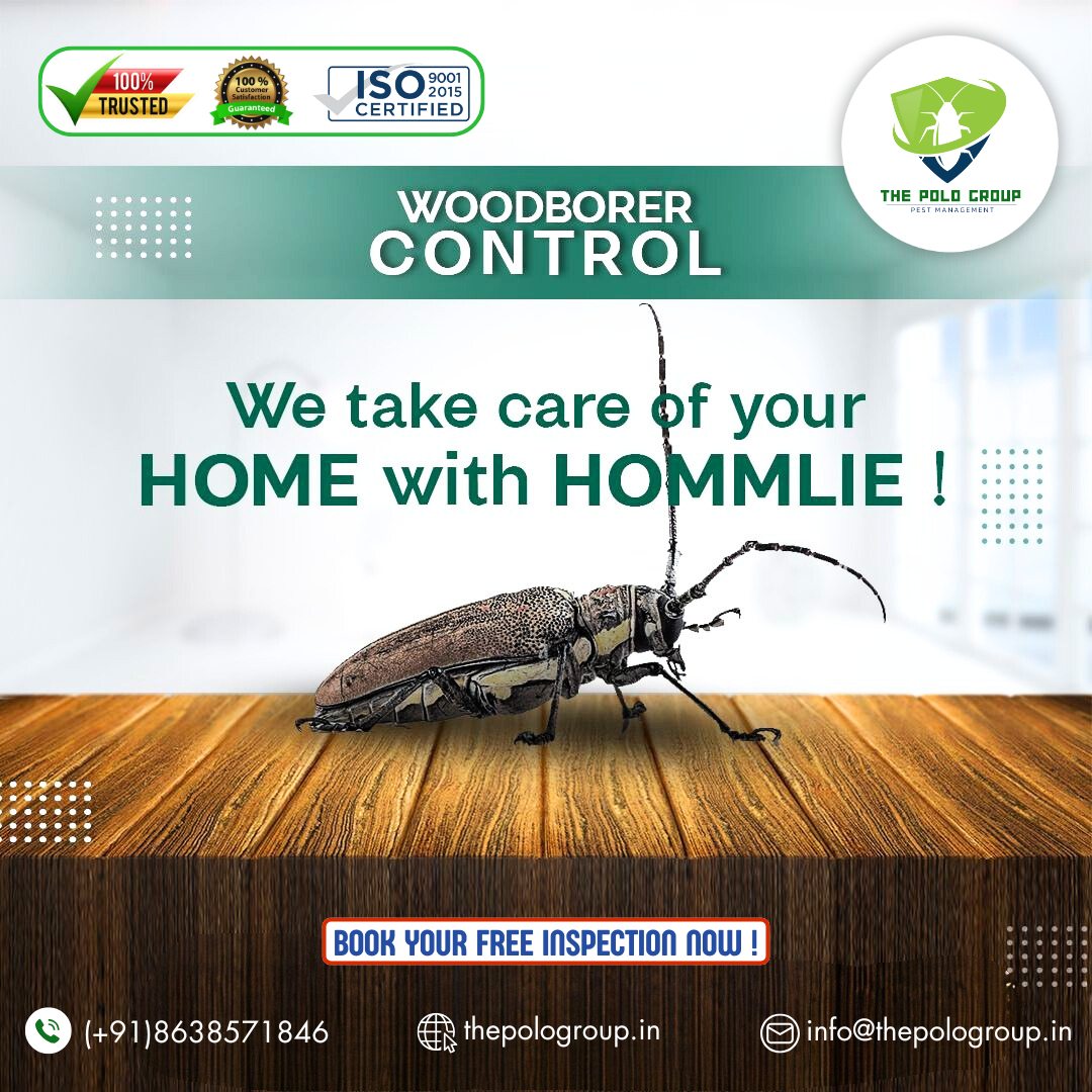 Best Pest control in Cherrapunji Meghalaya