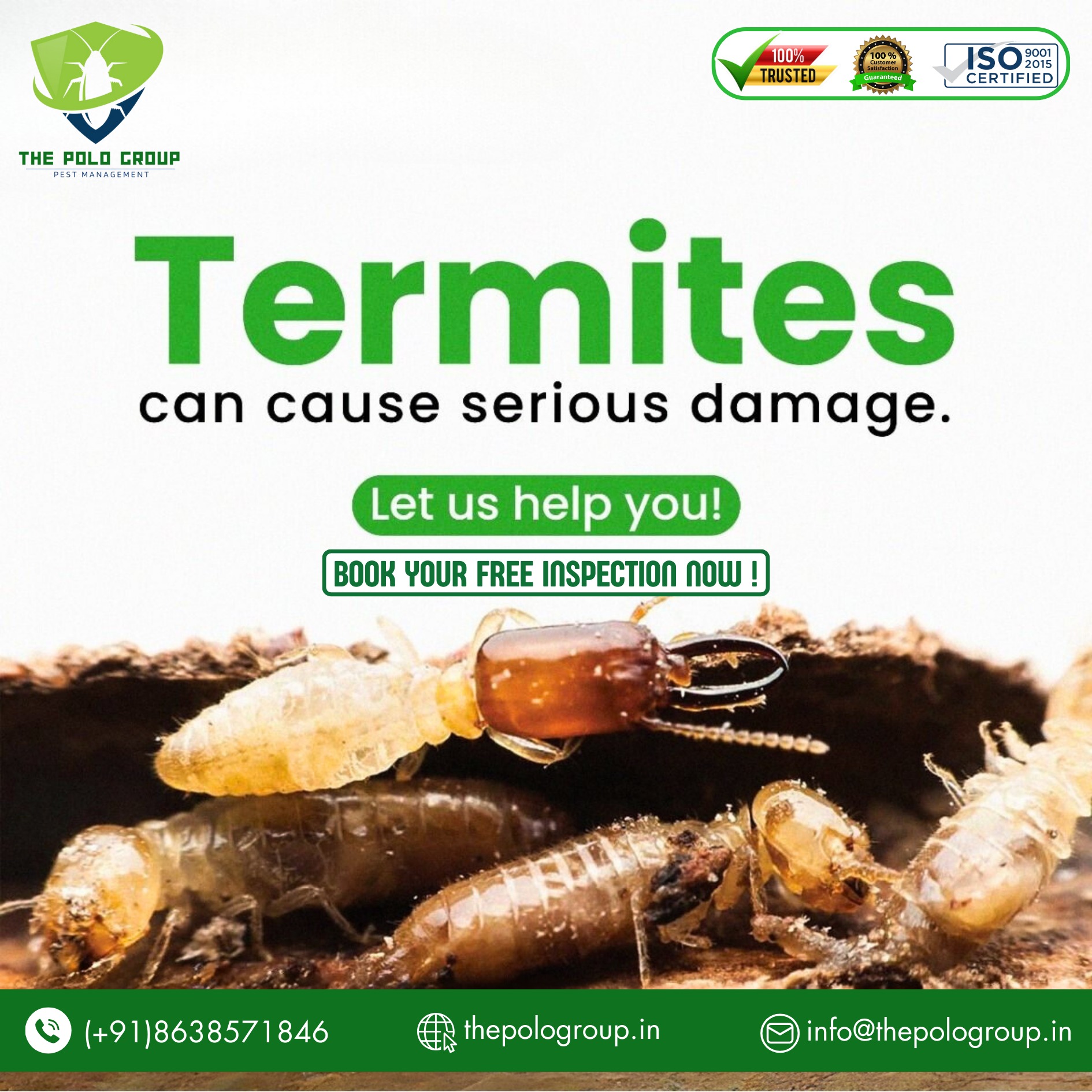 Best Pest Control in Aizawl Mizoram