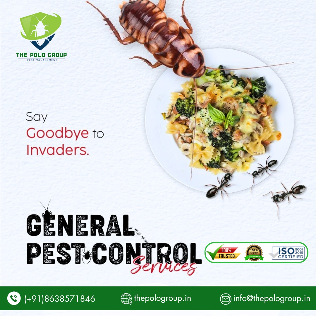 Best Pest control in Itanagar Arunachal Pradesh