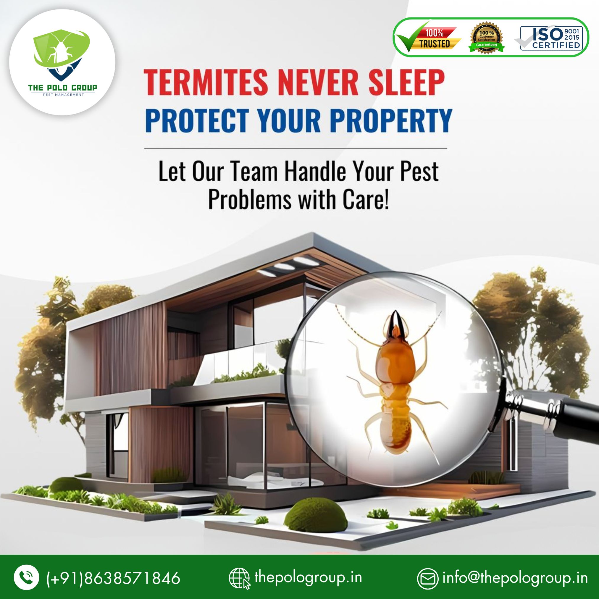 Best Pest control in Dimapur Nagaland