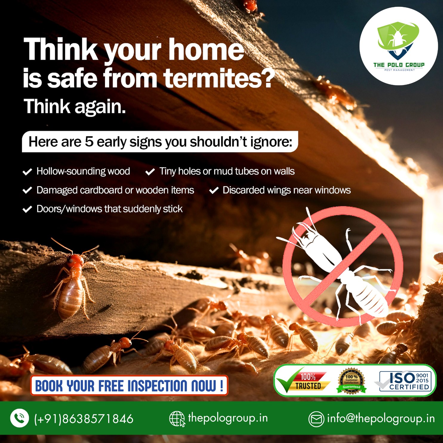 Best Pest Control in Tura