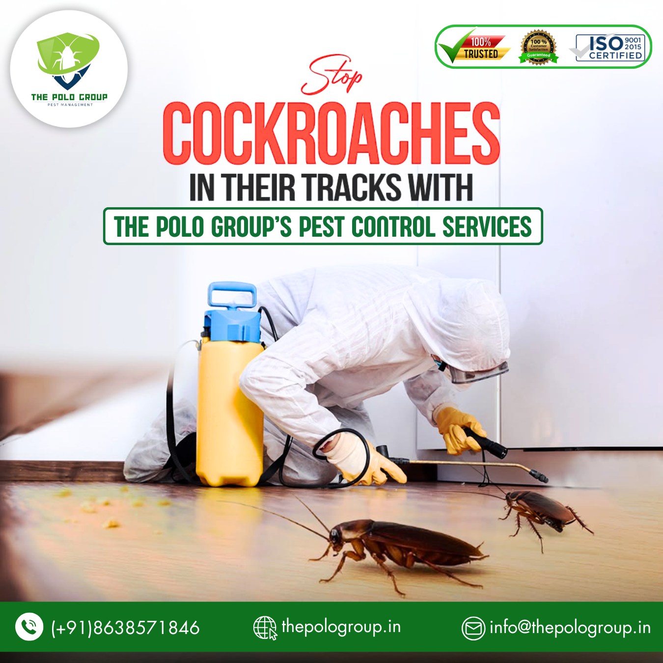 Best Pest control in Ulubari Guwahati