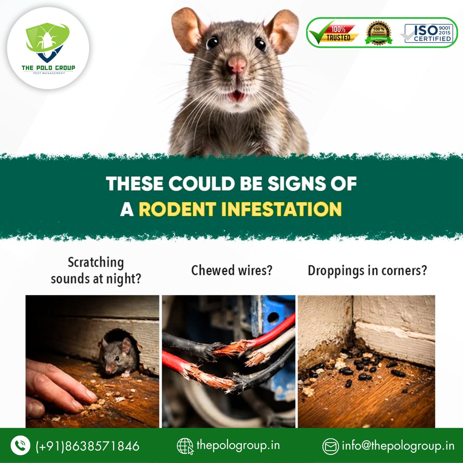 Best Pest control in Beltola Guwahati